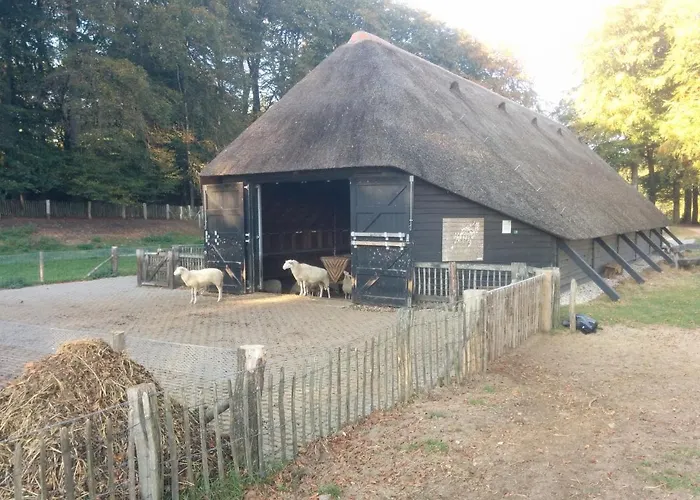 Den * Хундерло